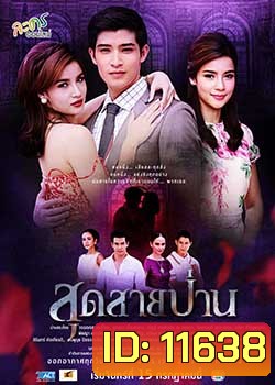 สุดสายป่าน