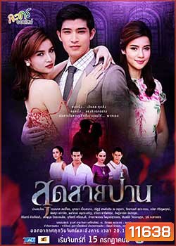 สุดสายป่าน