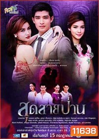 สุดสายป่าน