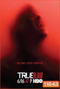 True Blood Season 6 (2013) ทรูบลัด แวมไพร์พันธุ์ใหม่ ปี 6