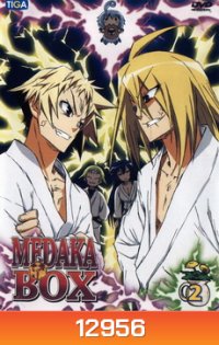 MEDAKA BOX 2