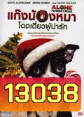 Alone for Christmas แก๊งน้องหมาโดดเดี่ยวผู้น่ารัก
