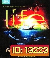 Life อัศจรรย์แห่งชีวิต
