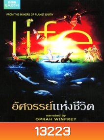 Life อัศจรรย์แห่งชีวิต