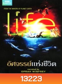 Life อัศจรรย์แห่งชีวิต