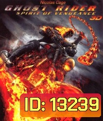 Ghost Rider: Spirit of Vengeance (2011) โกสต์ ไรเดอร์ อเวจีพิฆาต (2D+3D)
