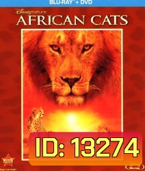 African Cats