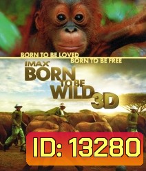IMAX Born to be wild 3D มหัศจรรย์ชีวิตป่า