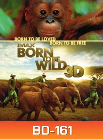 IMAX Born to be wild 3D มหัศจรรย์ชีวิตป่า