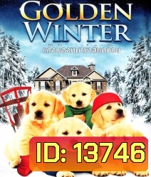 Golden winter แก๊งน้องหมาซ่าส์ยกก๊วน