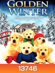 Golden winter แก๊งน้องหมาซ่าส์ยกก๊วน