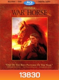 War Horse (2011) ม้าศึกจารึกโลก
