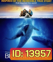 Big miracle ปาฏิหาริย์วาฬสีเทา