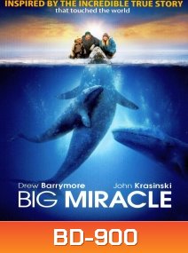 Big miracle ปาฏิหาริย์วาฬสีเทา