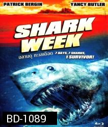 Shark week ฉลามดุ ทะเลเดือด
