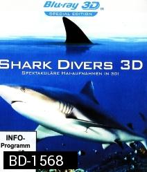 SHARK DIVERS 3D