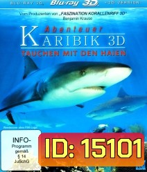 Adventure Caribbean 3D: Diving With Sharks (2012)