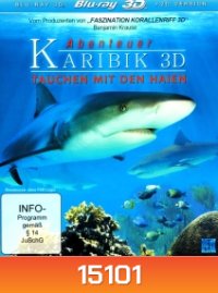 Adventure Caribbean 3D: Diving With Sharks (2012)