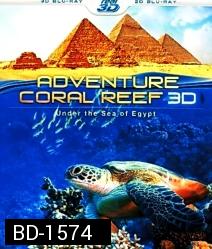 Coral Reef Adventure 3D