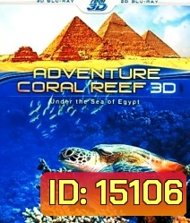 Coral Reef Adventure 3D