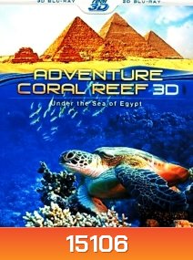 Coral Reef Adventure 3D