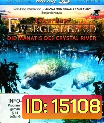 Abenteuer Everglades 3D - Die Manatis des Crystal River