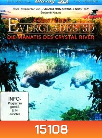 Abenteuer Everglades 3D - Die Manatis des Crystal River