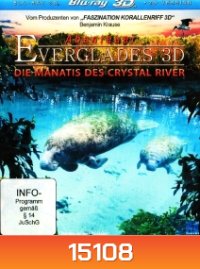 Abenteuer Everglades 3D - Die Manatis des Crystal River
