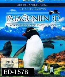 Patagonia Von Camarones Bis Darwins Rock 3D