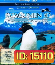 Patagonia Von Camarones Bis Darwins Rock 3D