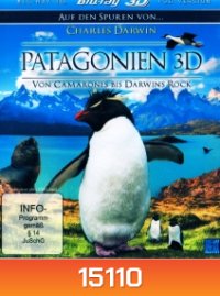 Patagonia Von Camarones Bis Darwins Rock 3D