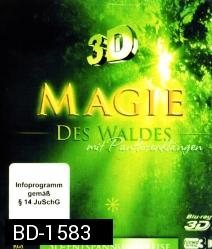 Magie des Waldes - mit Panflötenklängen (3D)