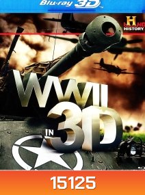 WWII in {2D+3D}