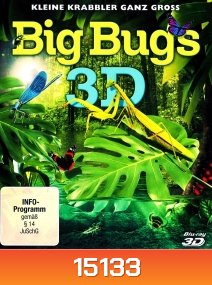BIG BUGS {2D+3D}