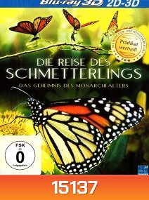 Die Reise des Schmetterlings - Das Geheimnis des Monarchfalters