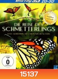 Die Reise des Schmetterlings - Das Geheimnis des Monarchfalters