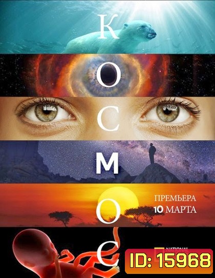 Cosmos A Spacetime Odyssey Season 1