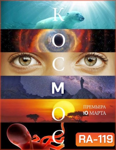 Cosmos A Spacetime Odyssey Season 1