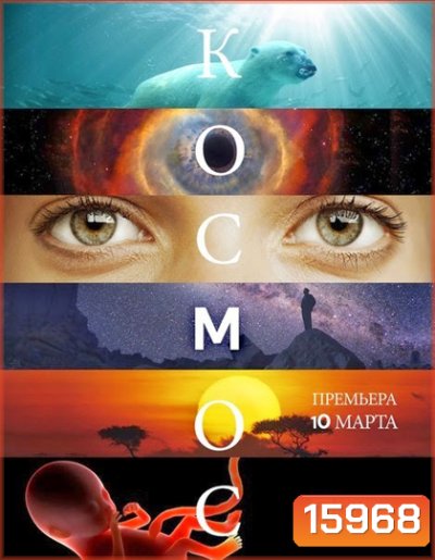 Cosmos A Spacetime Odyssey Season 1