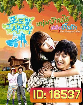 The Vineyard Man หนุ่มบ้านไร่หัวใจปิ๊งรัก