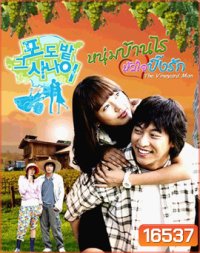 The Vineyard Man หนุ่มบ้านไร่หัวใจปิ๊งรัก