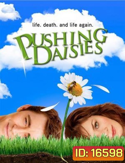Pushing Daisies Season 1 : นักสืบสัมผัสมหัศจรรย์ ปี 1