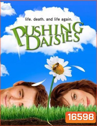Pushing Daisies Season 1 : นักสืบสัมผัสมหัศจรรย์ ปี 1