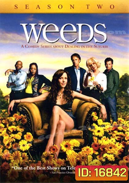 Weeds Season 2 : หม่ายชุลมุน ปี 2