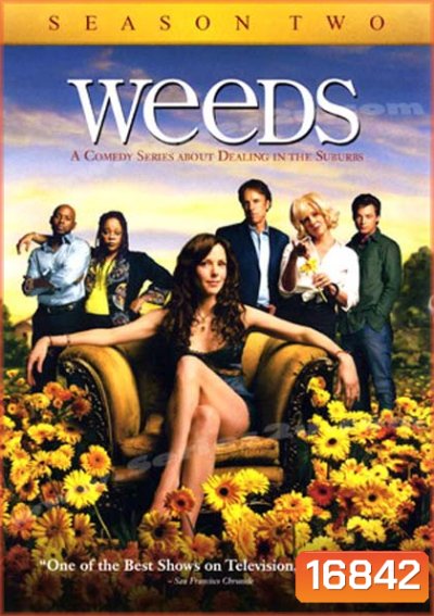 Weeds Season 2 : หม่ายชุลมุน ปี 2