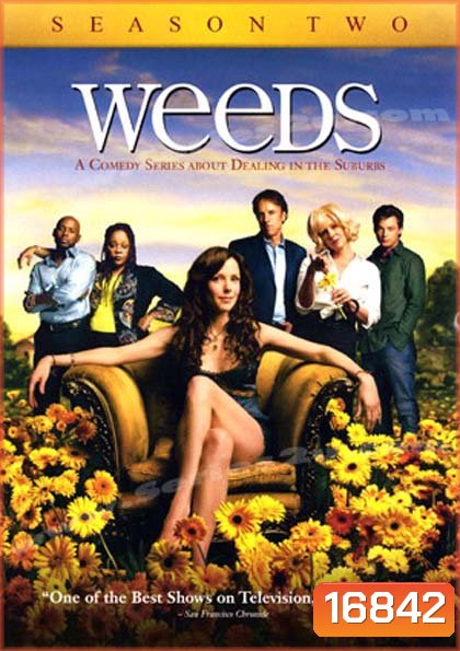 Weeds Season 2 : หม่ายชุลมุน ปี 2