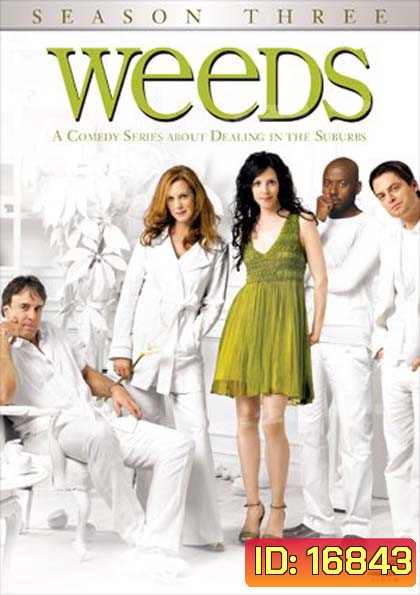 Weeds Season 3 : หม่ายชุลมุน ปี 3
