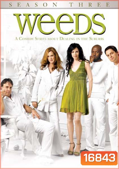 Weeds Season 3 : หม่ายชุลมุน ปี 3