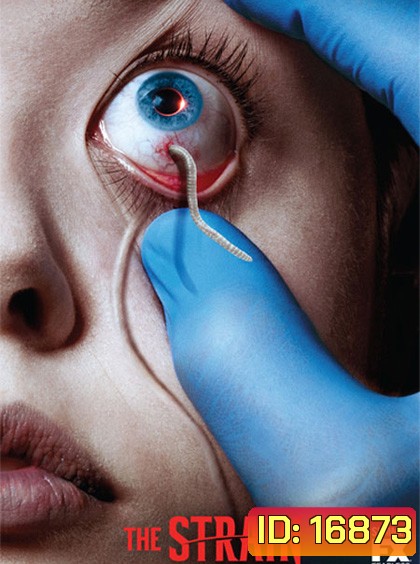 The Strain Season 1 ล่าสายพันธุ์มรณะ ปี 1