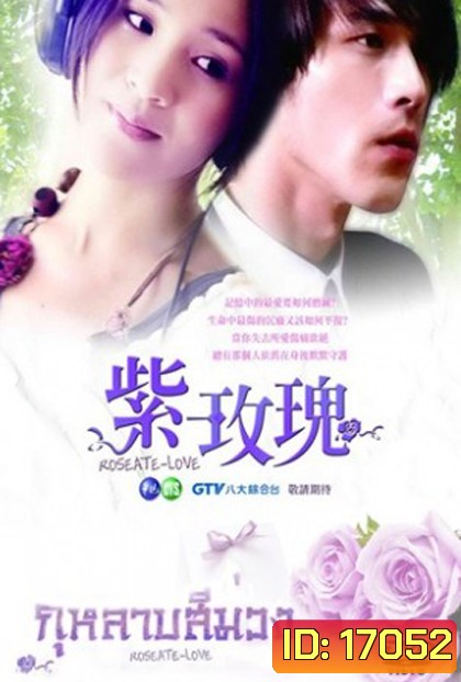 Roseate Love กุหลาบสีม่วง